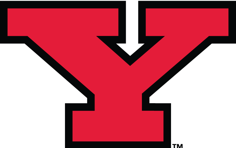 Youngstown State Penguins 1993-Pres Alternate Logo diy DTF decal sticker